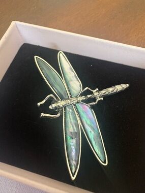 Iridescent Abalone Dragonfly Brooch — Green Blue Wings NWOT